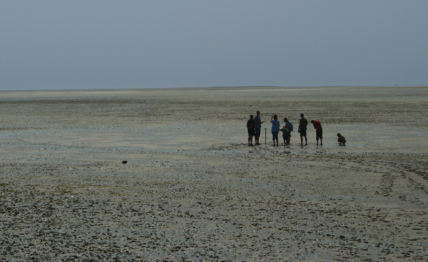 Fig. 2: Model region Northern Frisia. Mud flats at low tide.